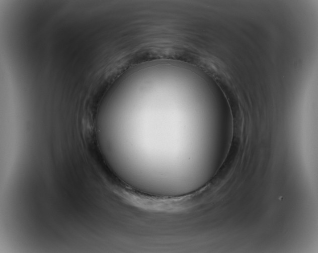 X0000085790040200703301501