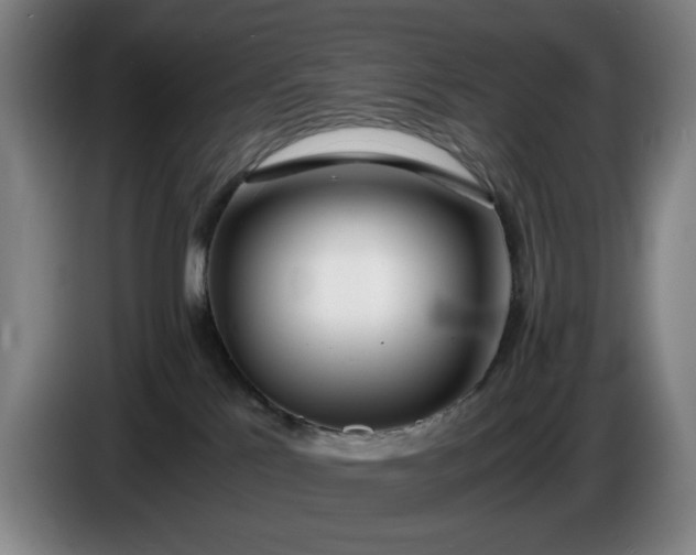X0000085790041200703301501