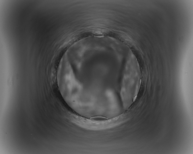 X0000085790043200703301501