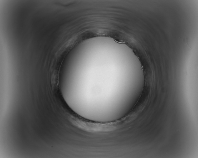 X0000085790044200703301501