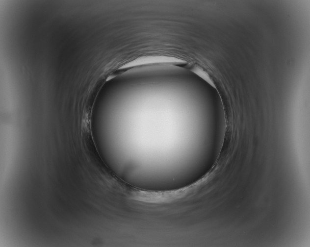 X0000085790045200703301501