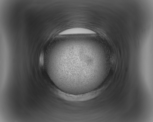 X0000085790046200703301501
