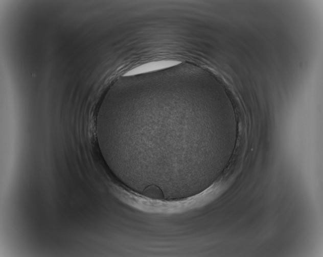 X0000085790048200703301501