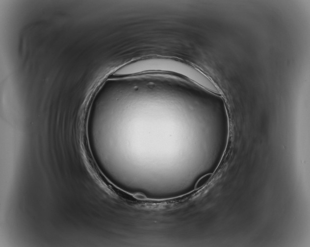 X0000085790049200703301500