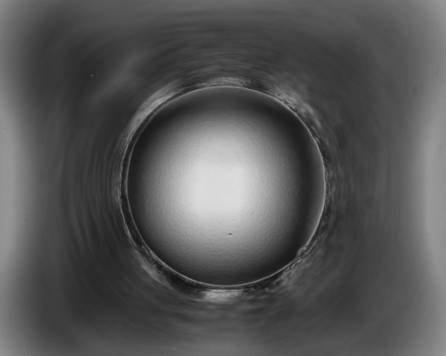 X0000085790051200703301500