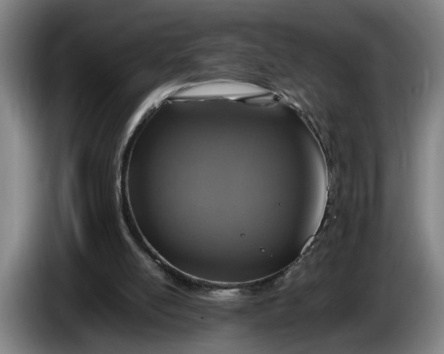 X0000085790054200703301500