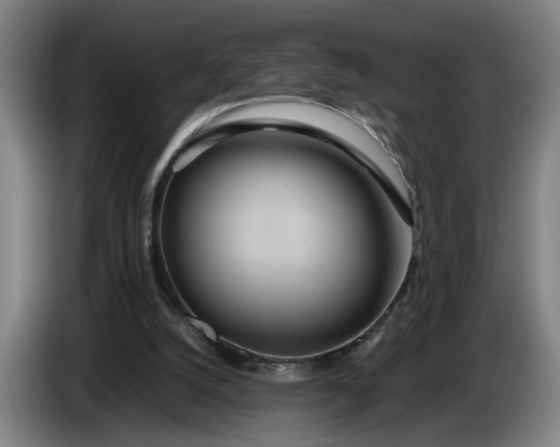 X0000085790056200703301500