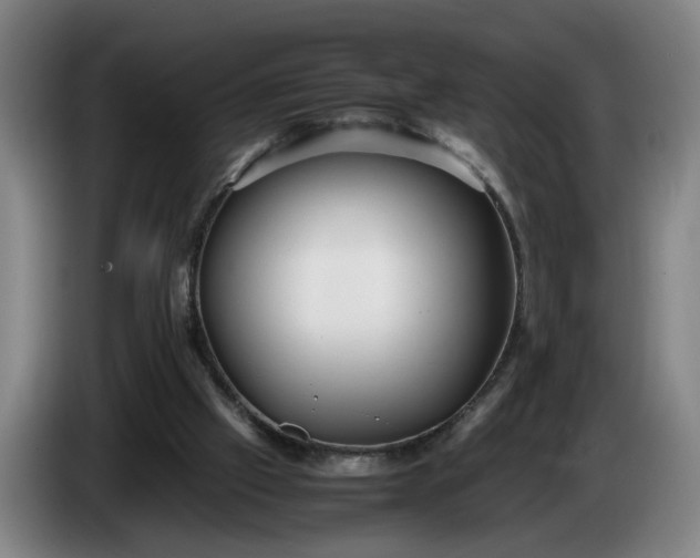 X0000085790057200703301500