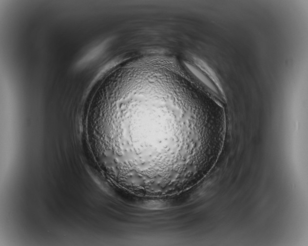 X0000085790059200703301500