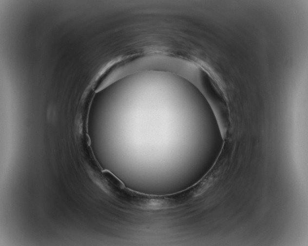 X0000085790060200703301500
