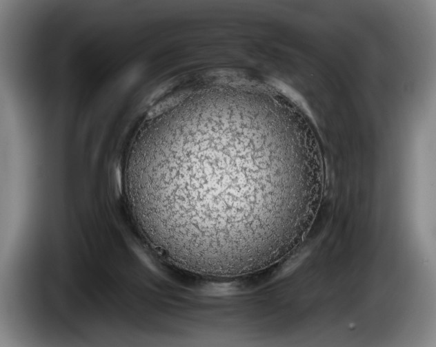 X0000085790061200703301500