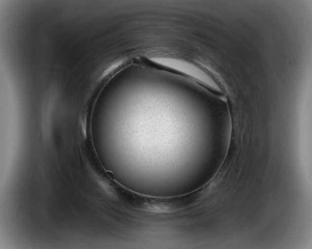 X0000085790062200703301500