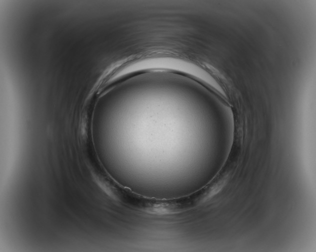 X0000085790064200703301500