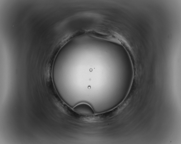 X0000085790065200703301500