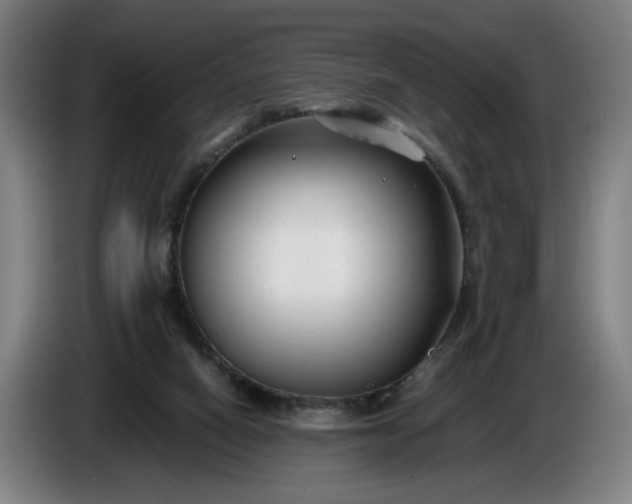 X0000085790066200703301500