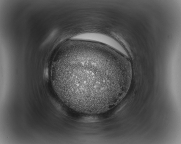 X0000085790067200703301500