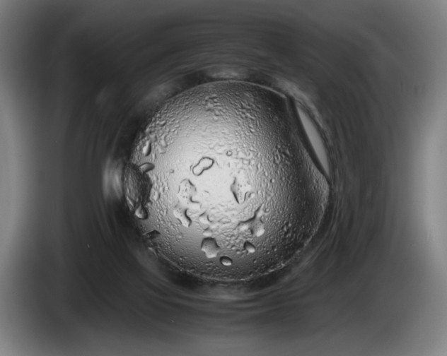 X0000085790069200703301500