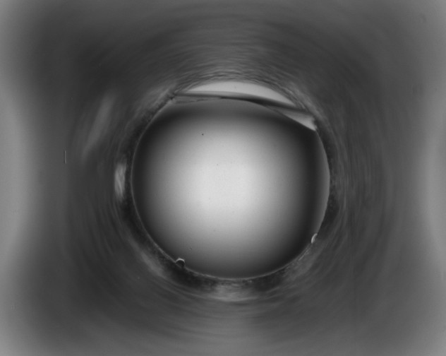 X0000085790070200703301500