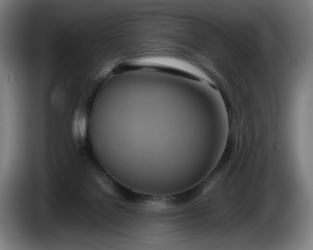 X0000085790076200703301500