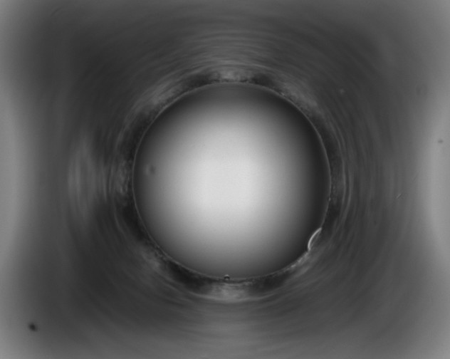 X0000085790078200703301500