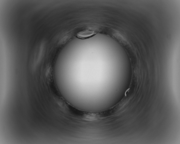 X0000085790079200703301500