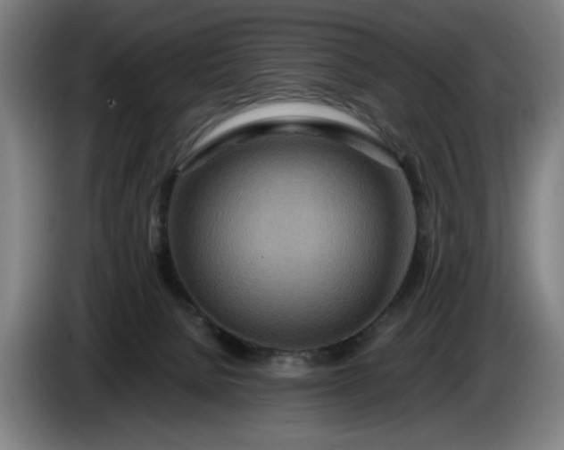 X0000085790080200703301500