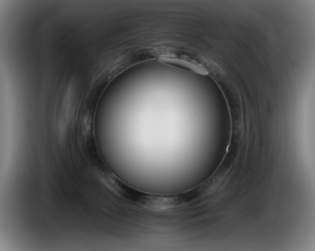 X0000085790081200703301500