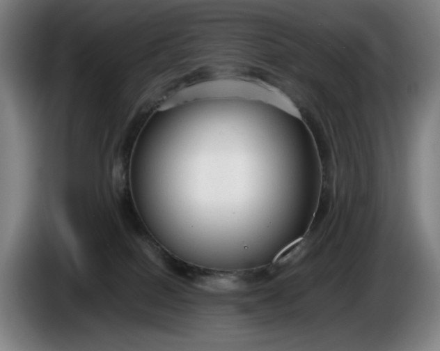 X0000085790086200703301501