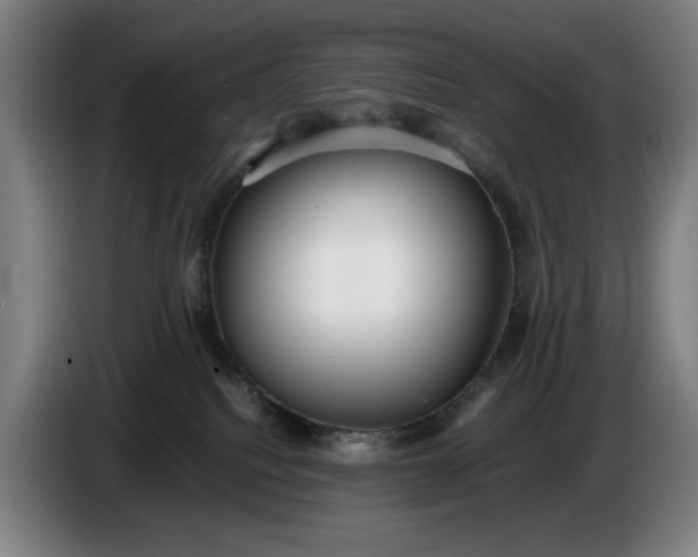 X0000085790088200703301501