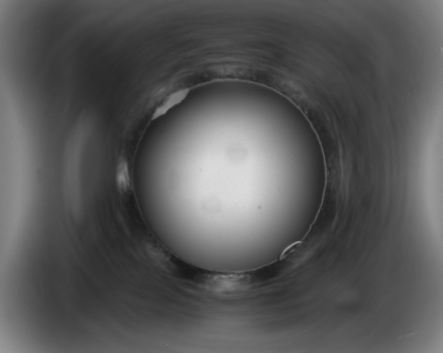 X0000085790089200703301501