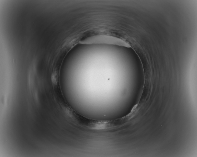 X0000085790090200703301501
