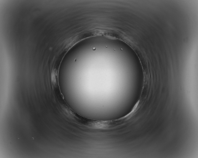 X0000085790094200703301501