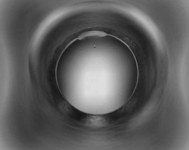 X0000085790095200703301501