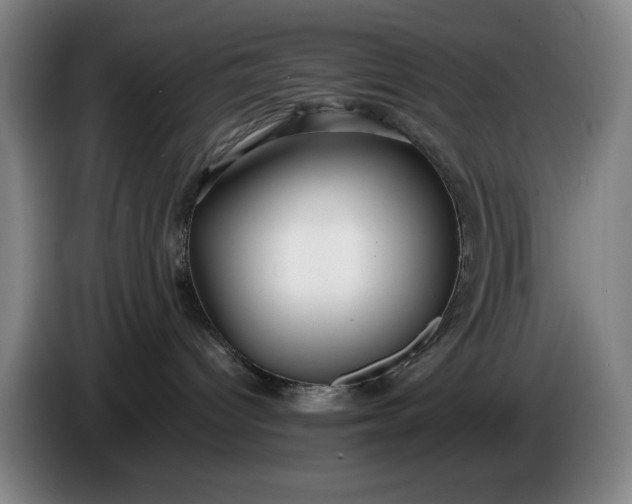 X0000085790096200703301501