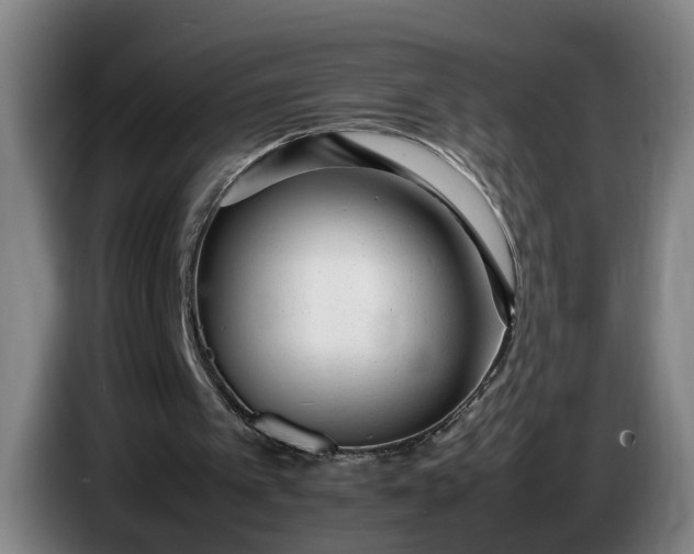 X0000085790097200703301500