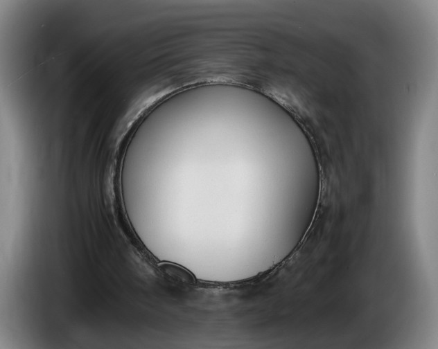X0000085790098200703301500