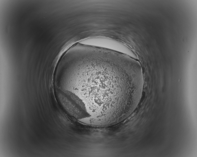 X0000085790099200703301500