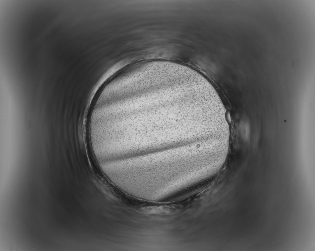 X0000085790100200703301500