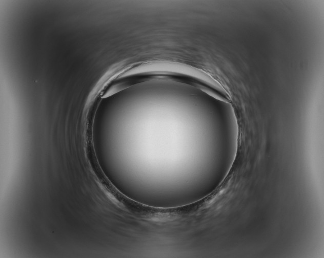X0000085790101200703301500