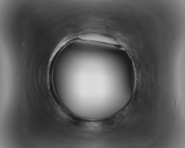 X0000085790102200703301500