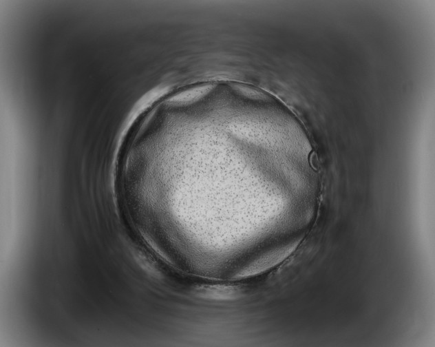 X0000085790104200703301500