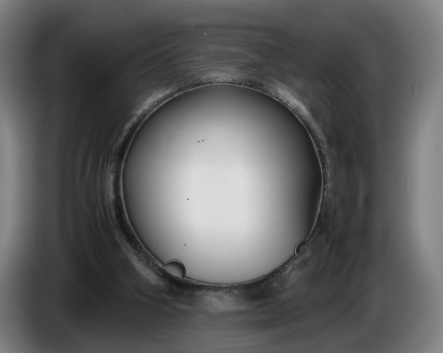 X0000085790106200703301500