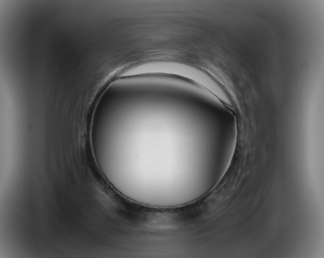 X0000085790107200703301500