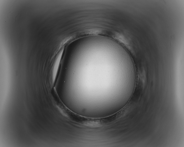 X0000085790110200703301500