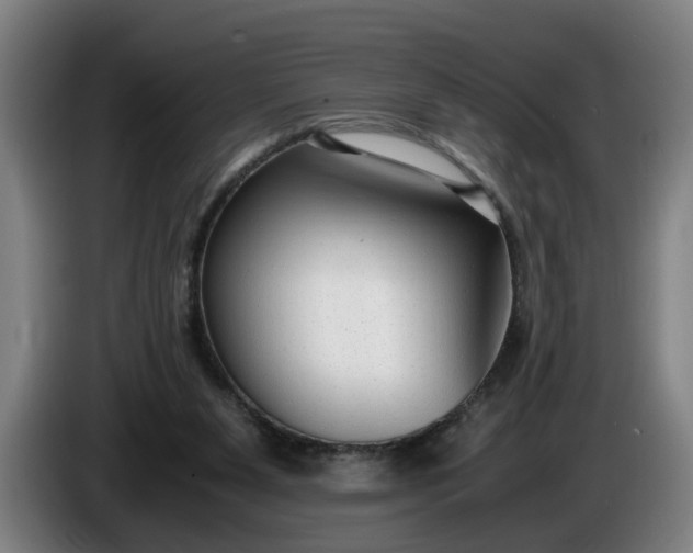 X0000085790111200703301500
