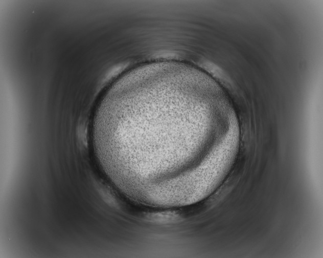 X0000085790112200703301500