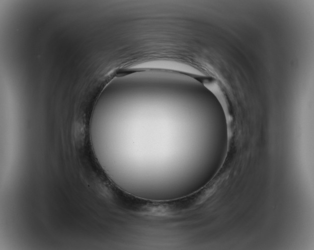 X0000085790113200703301500