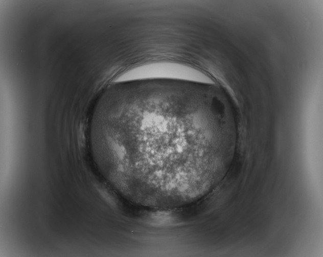 X0000085790114200703301500
