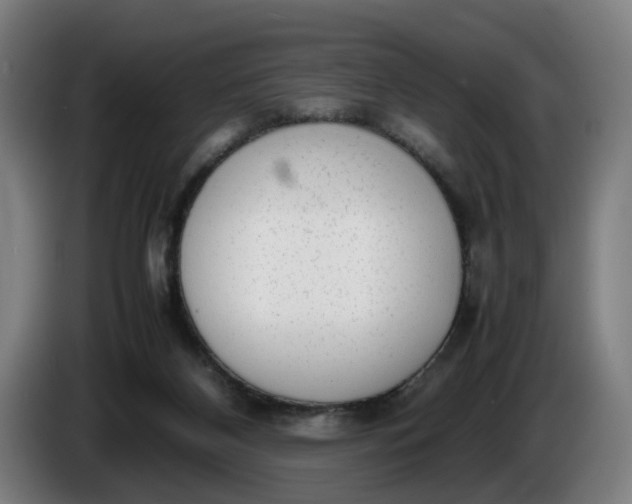 X0000085790116200703301500