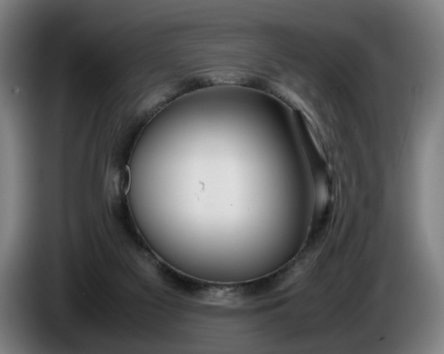 X0000085790117200703301500